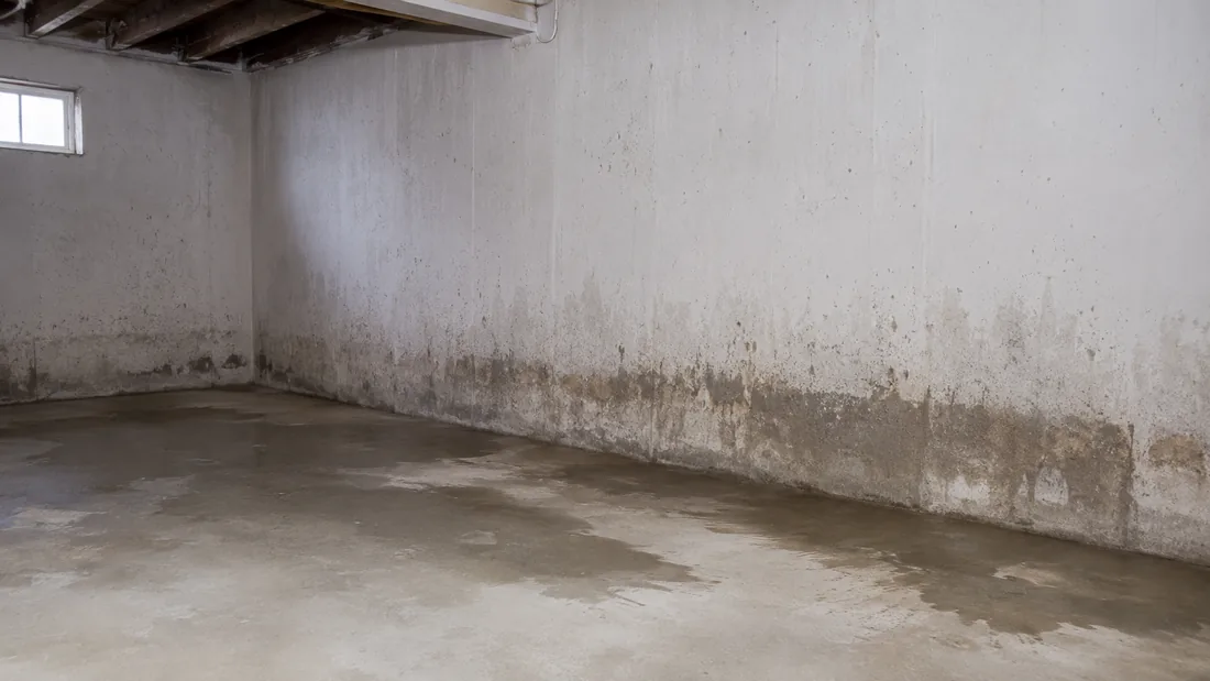 Feuchte Kellerwand mit dunklen Wasserrändern und aufsteigender Feuchtigkeit